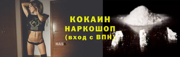 a pvp Пересвет