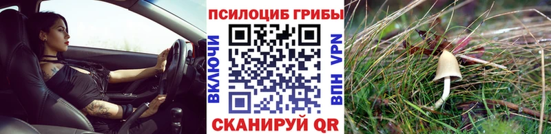 Галлюциногенные грибы мухоморы  Алушта 